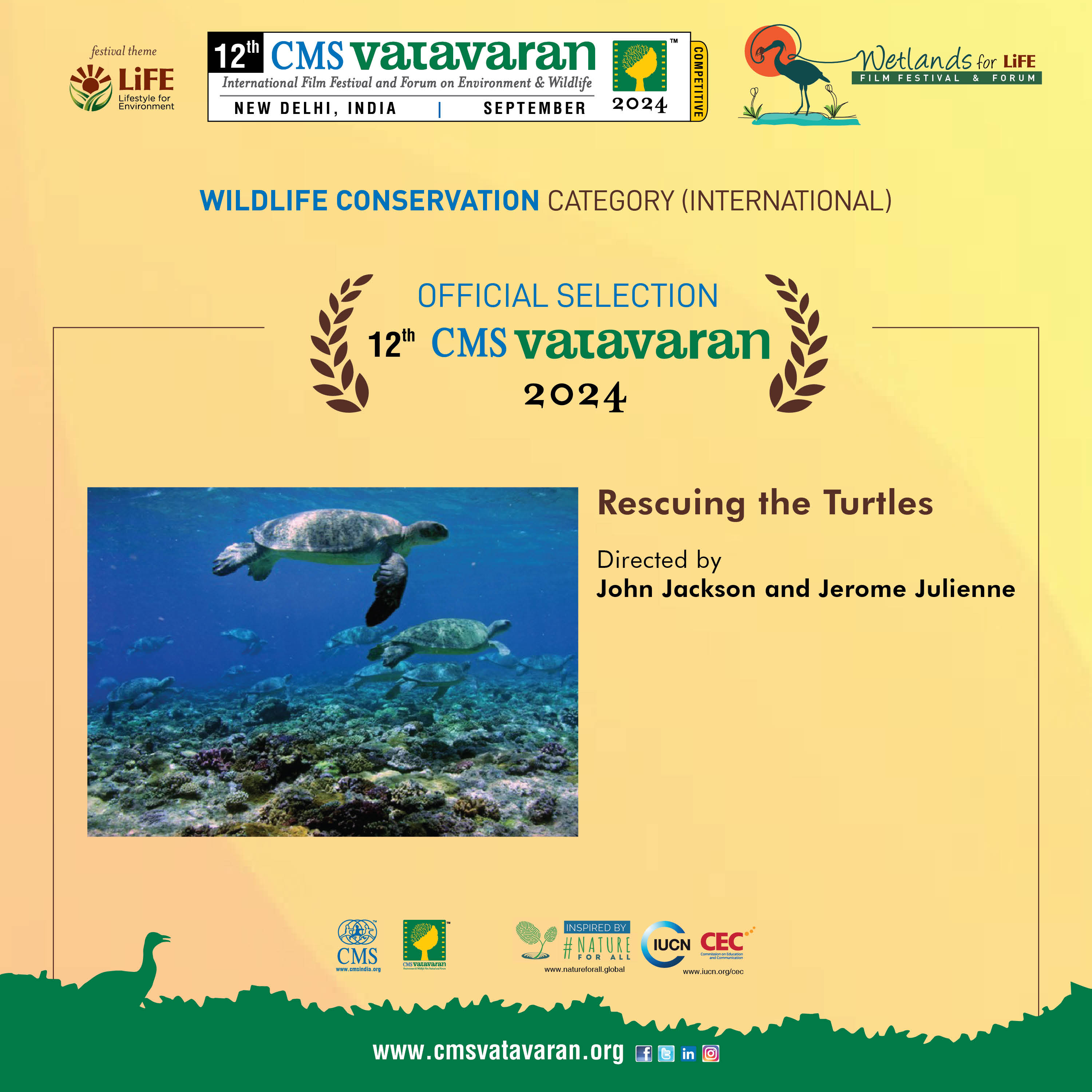 Rescuing the turtles
